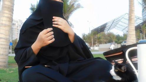 娱乐吃瓜君亚裔,亚裔明星背后的故事与成长历程